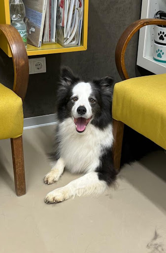 Photo from customer review