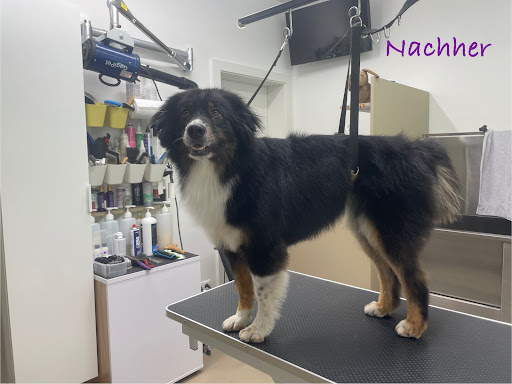 Photo from customer review