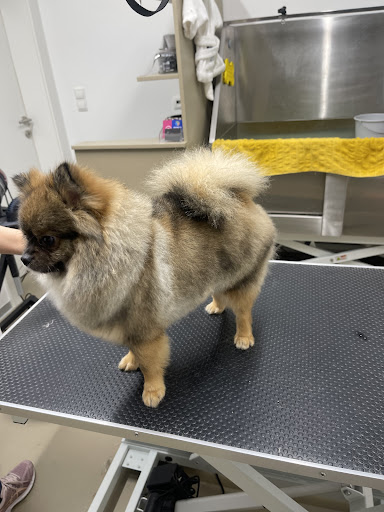 Photo from customer review